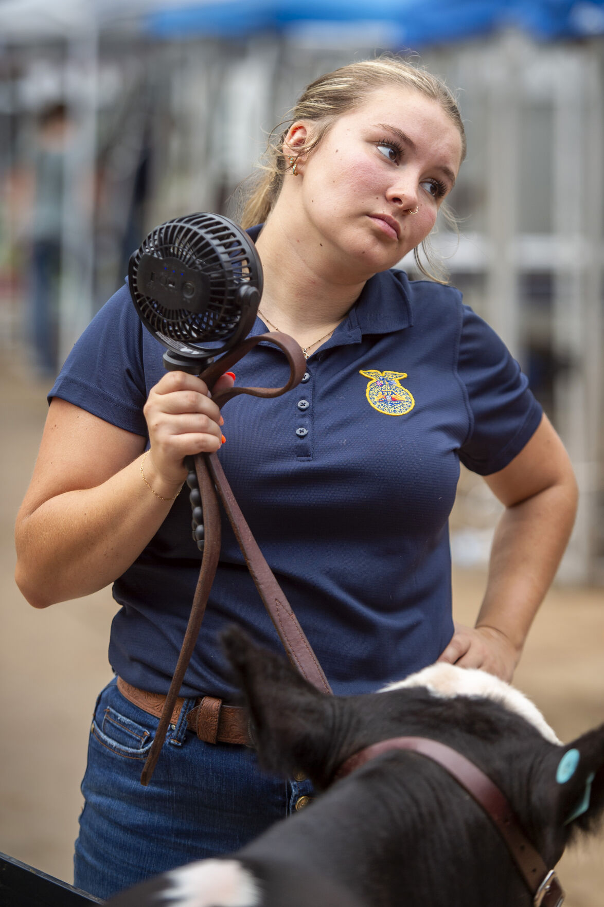 Putnam County Fair 011